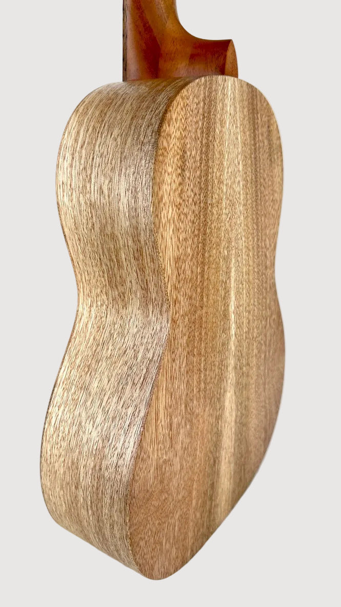PONO MGB-K Bariton