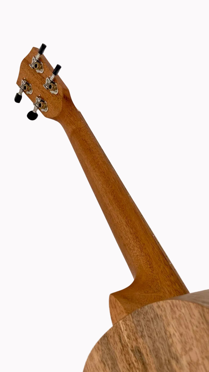 PONO MGB-K Bariton