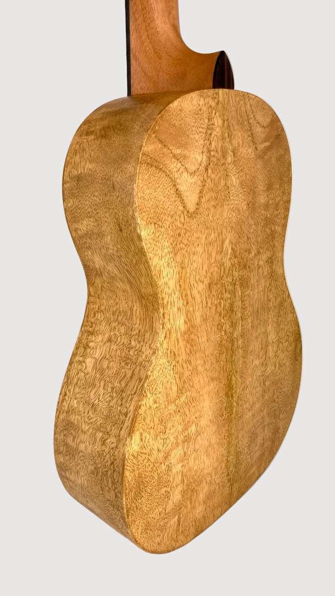 PONO MGB Bariton