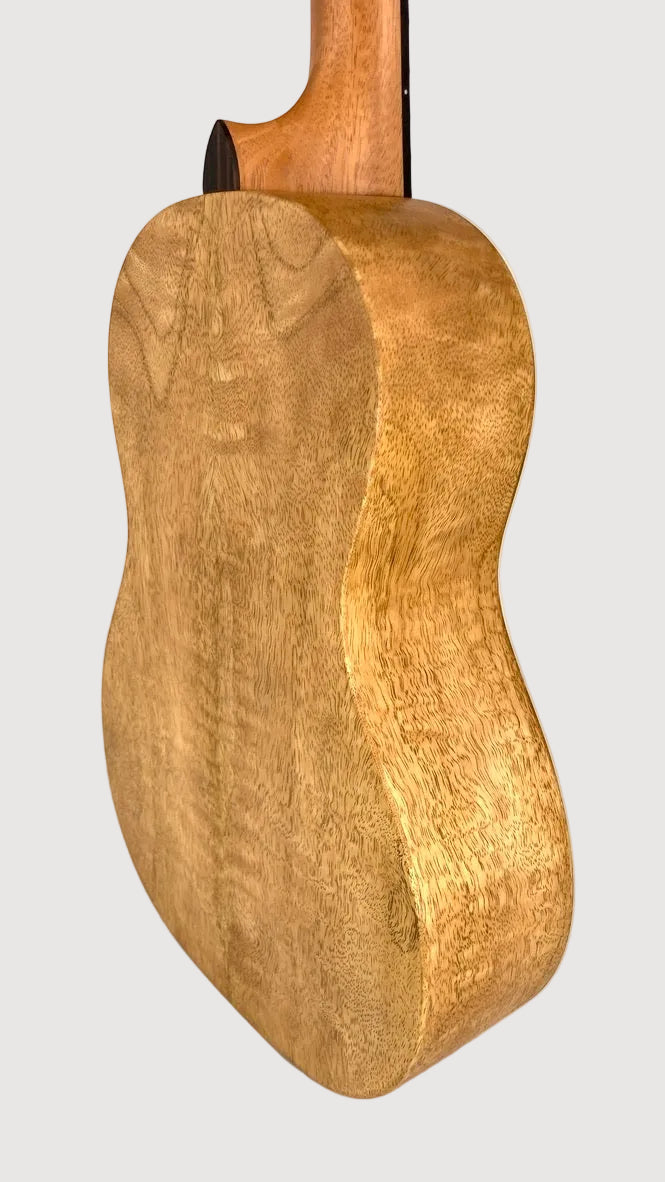 PONO MGB Bariton
