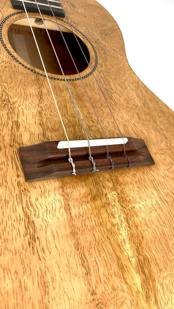 PONO MGB Bariton