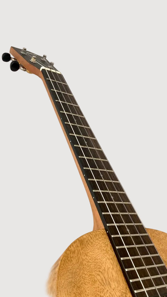 PONO MGB Bariton