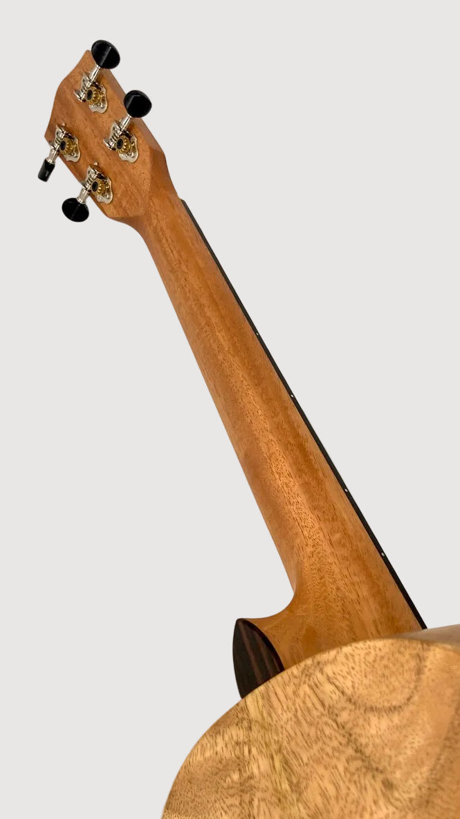 PONO MGB Bariton
