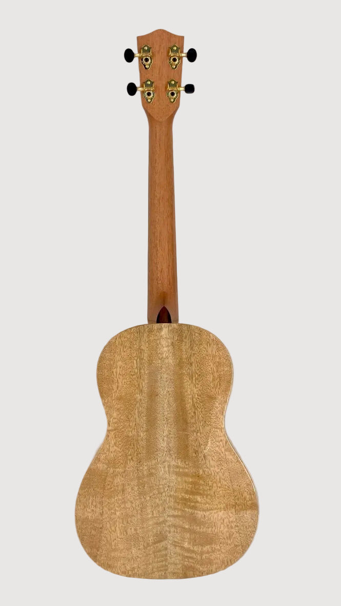 PONO MGBD Bariton