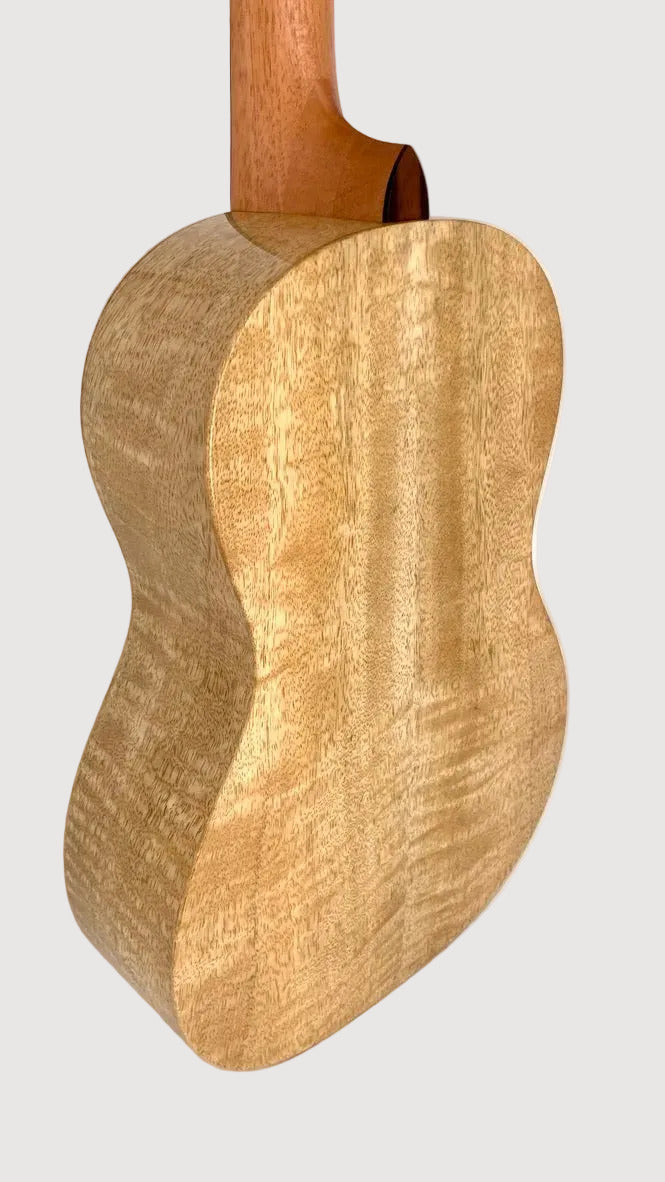 PONO MGBD Bariton