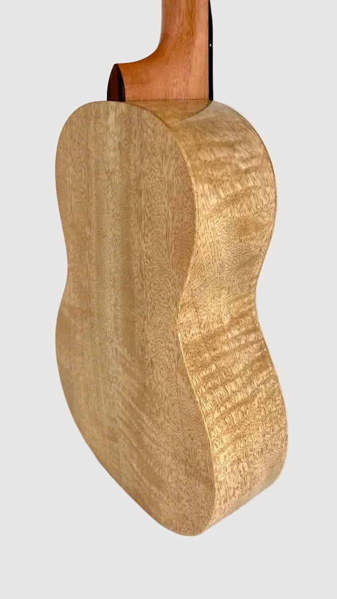 PONO MGBD Bariton