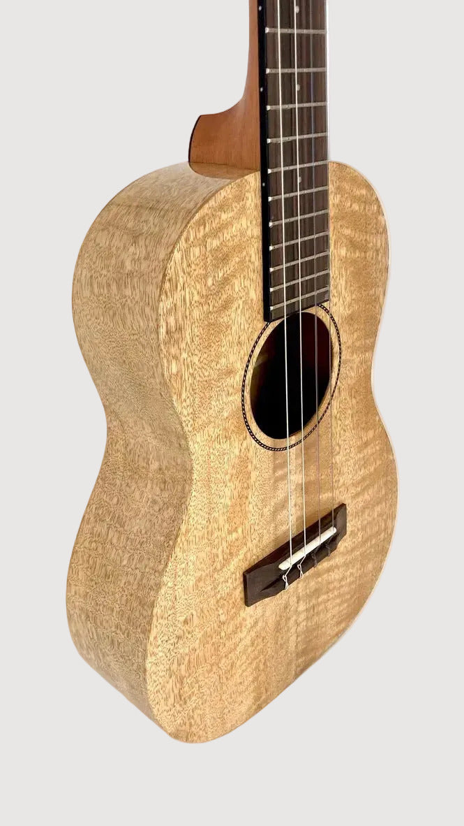 PONO MGBD Bariton