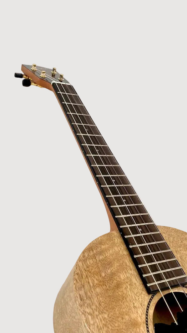PONO MGBD Bariton