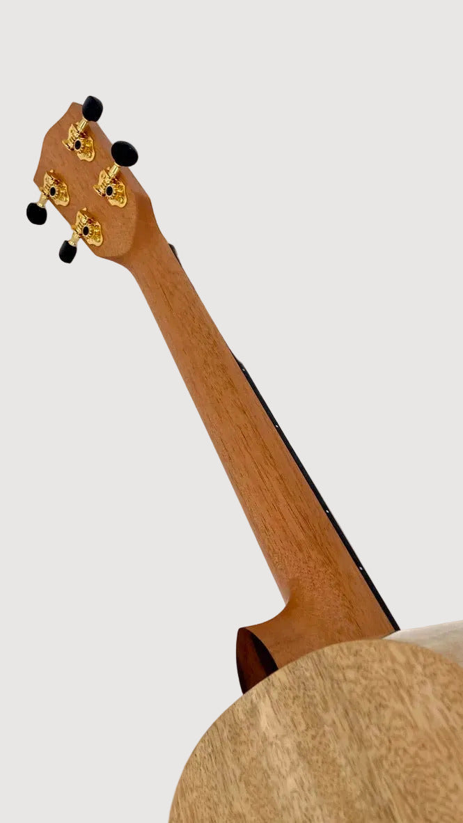 PONO MGBD Bariton