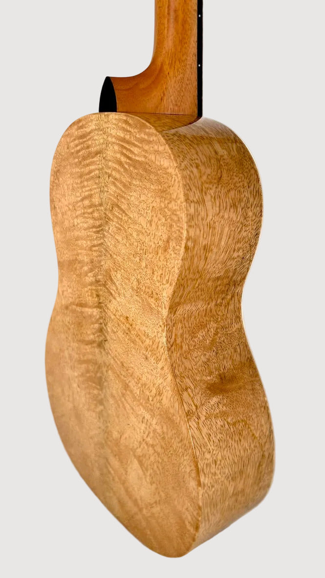 PONO MGBD Bariton