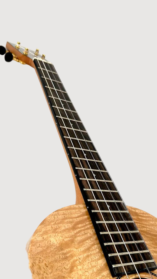 PONO MGBD Bariton