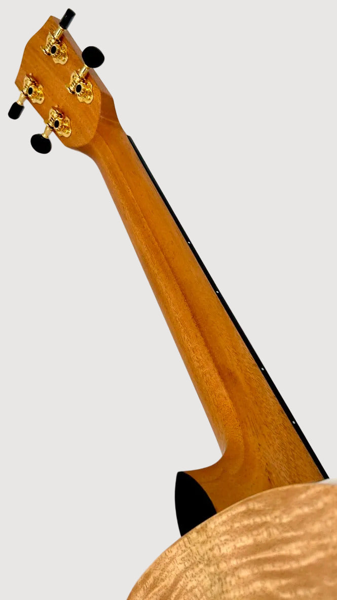 PONO MGBD Bariton