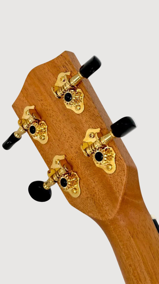 PONO MGBD Bariton
