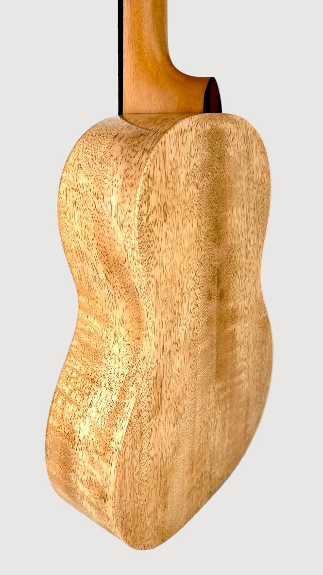 PONO MGBD Bariton