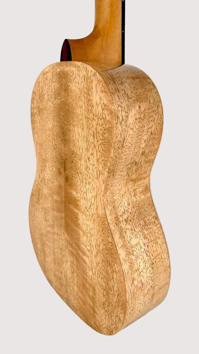 PONO MGBD Bariton