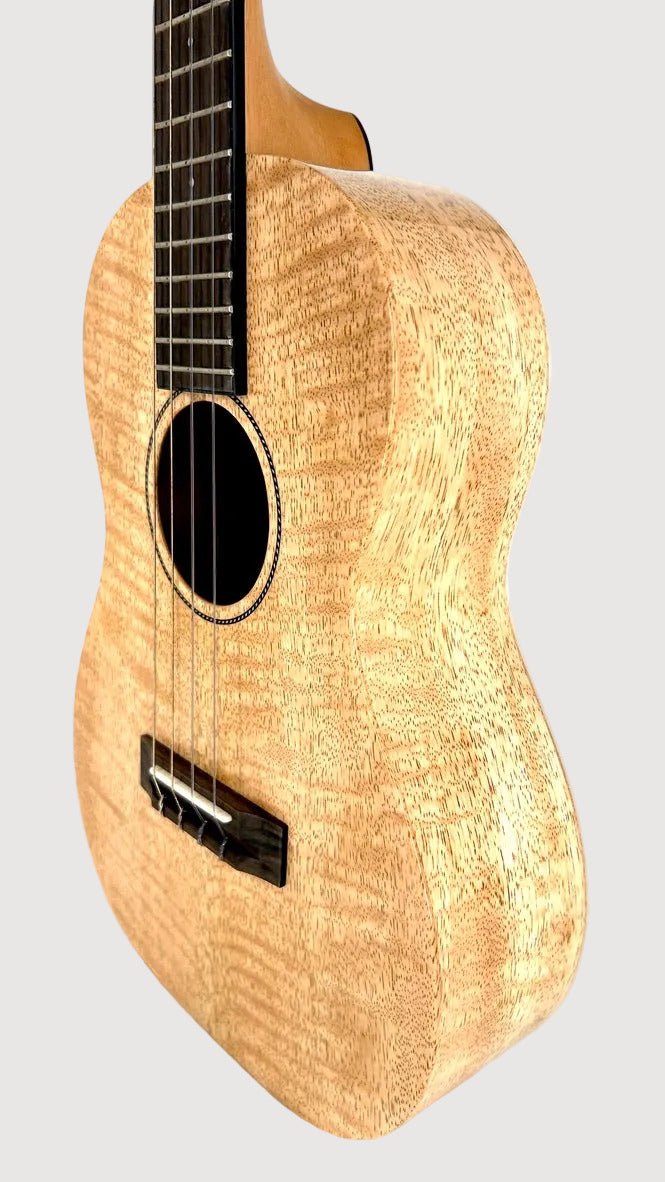PONO MGBD Bariton