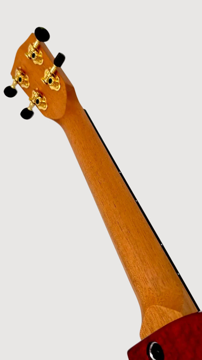 PONO TE-MDR Tenor