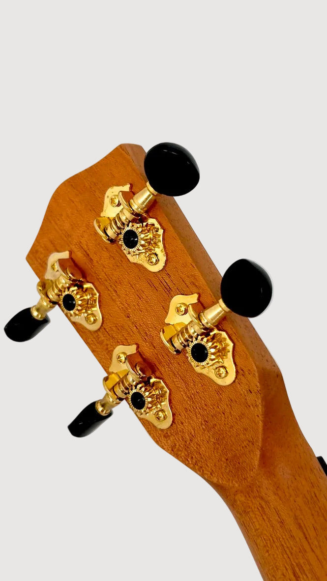 PONO TE-MDR Tenor