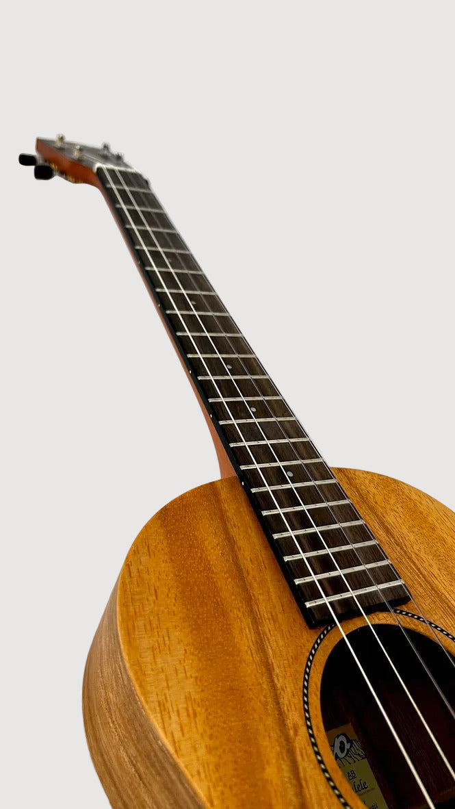PONO AB Bariton