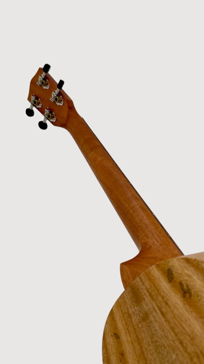 PONO MGB-K Bariton