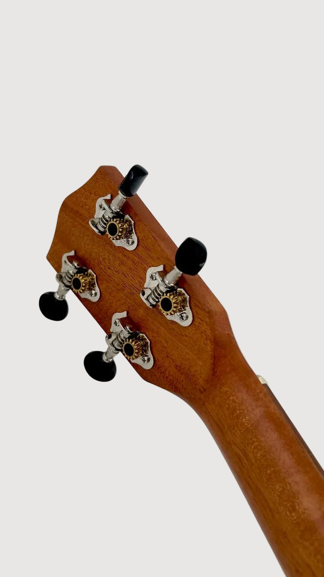 PONO MGB-K Bariton