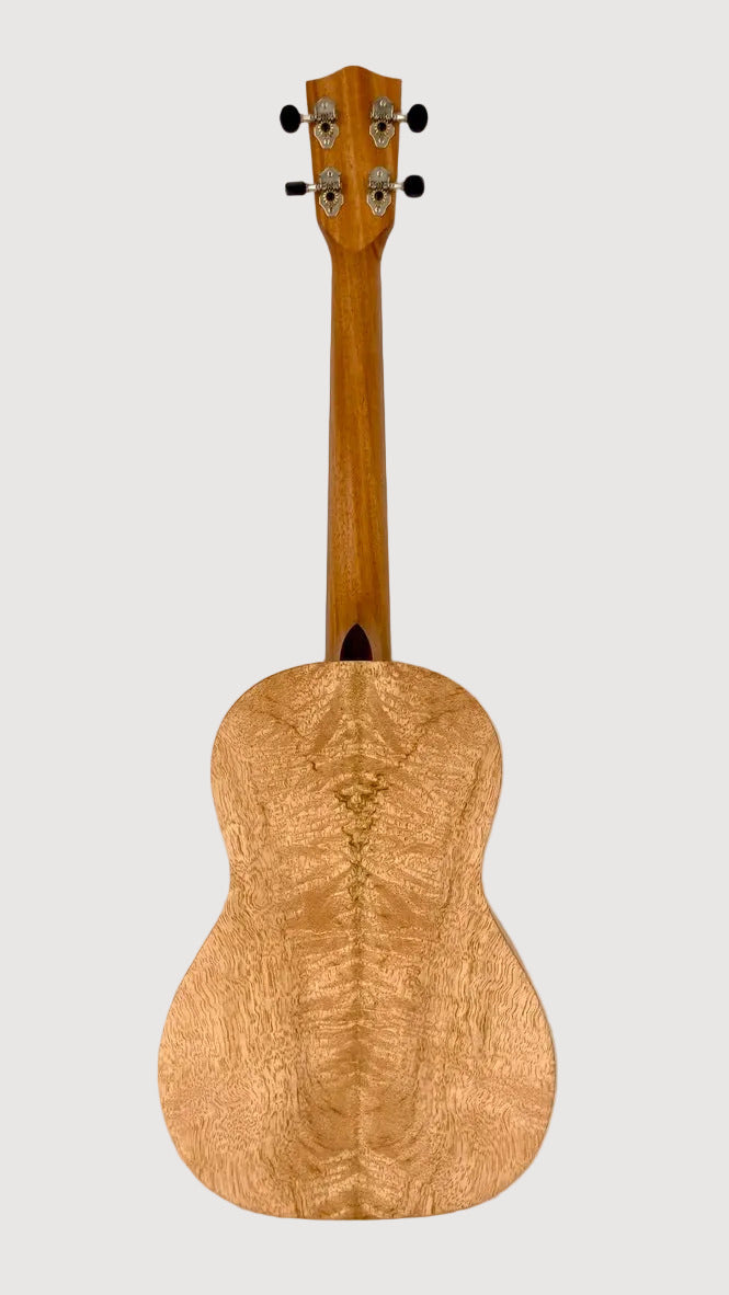 PONO MGB Bariton