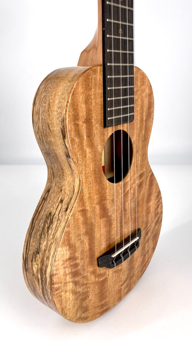 Rebel Creme brulee Concert Longneck gloss #11