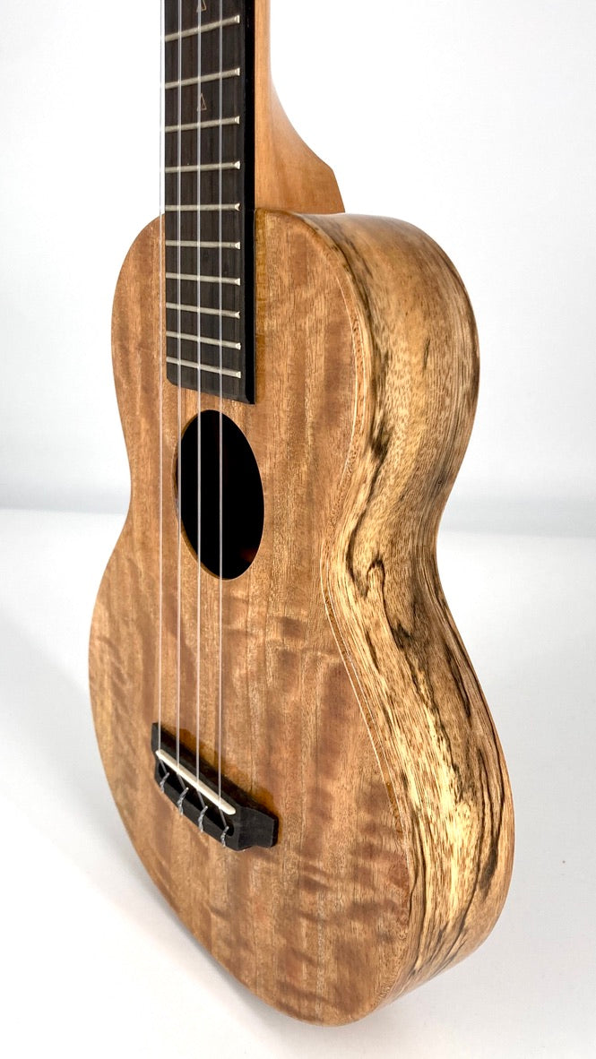 Rebel Creme brulee Concert Longneck gloss #11