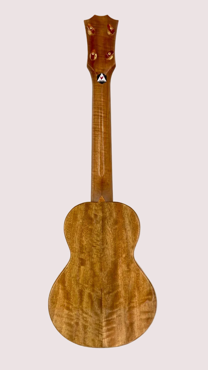 Rebel Creme brulee Concert Longneck gloss #12