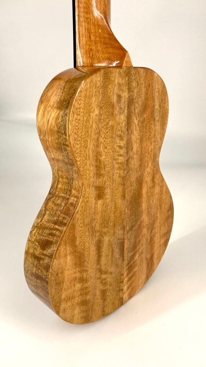 Rebel Creme brulee Concert Longneck gloss #12