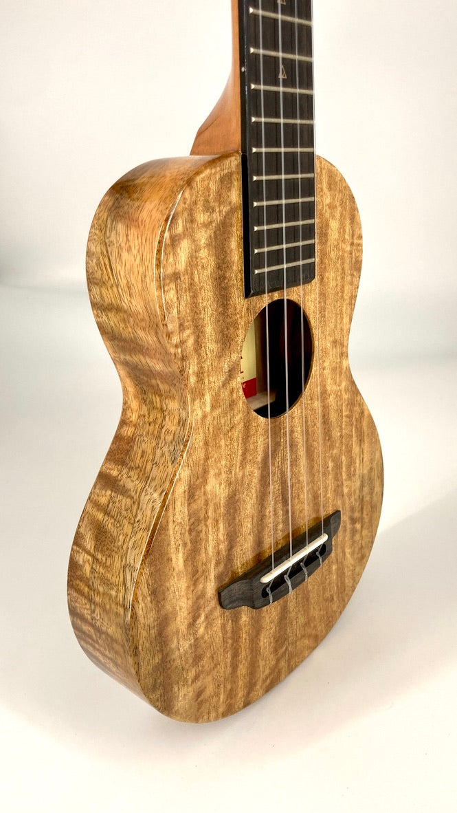 Rebel Creme brulee Concert Longneck gloss #12