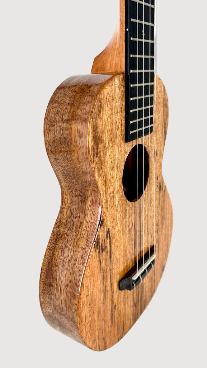 Rebel Creme brulee Concert Longneck gloss #14