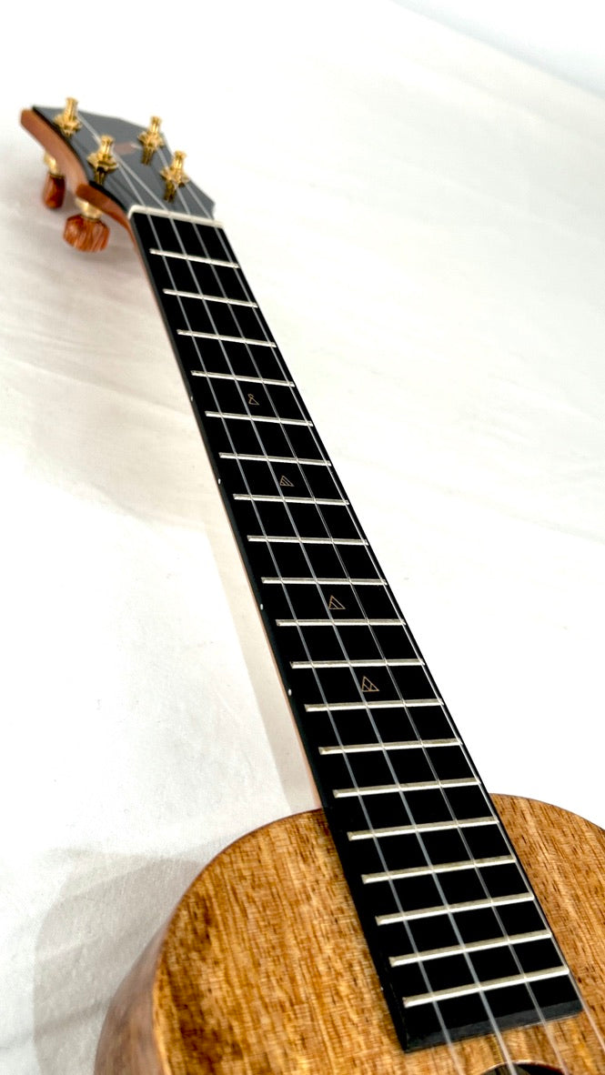 Rebel Creme brulee Concert Longneck gloss #14