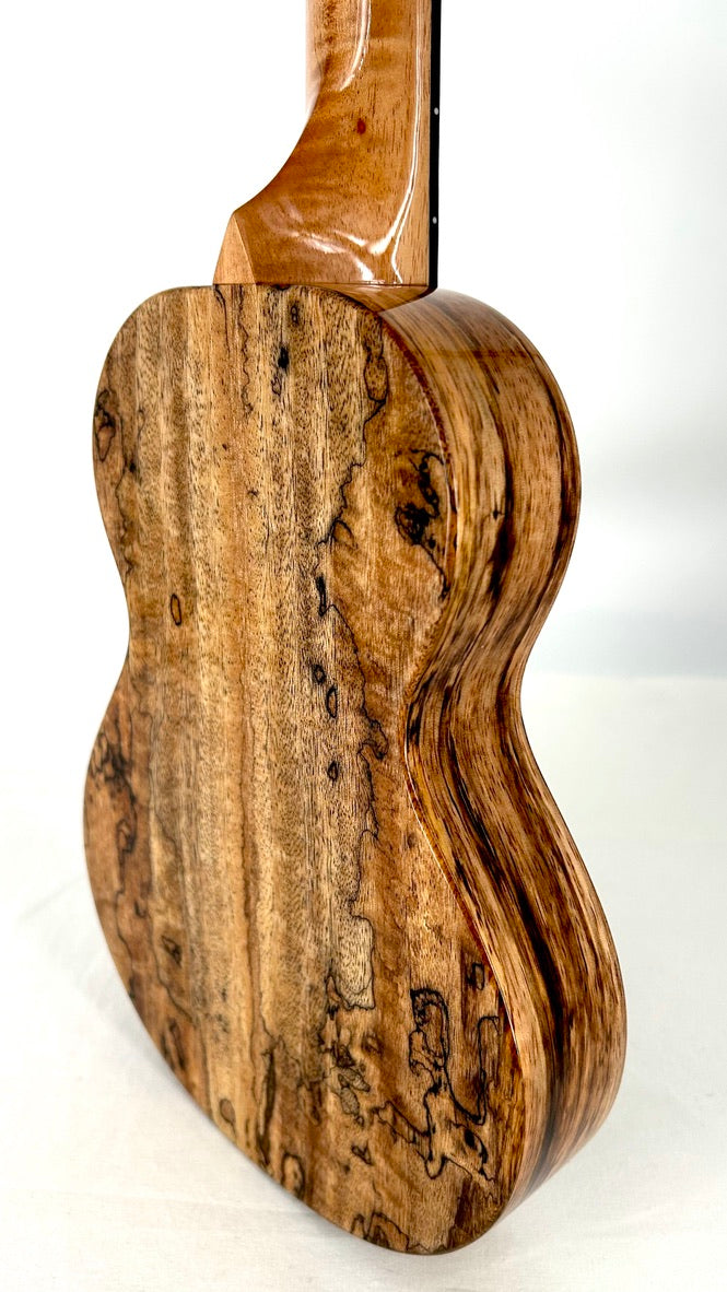 Rebel Creme brulee Concert gloss #31