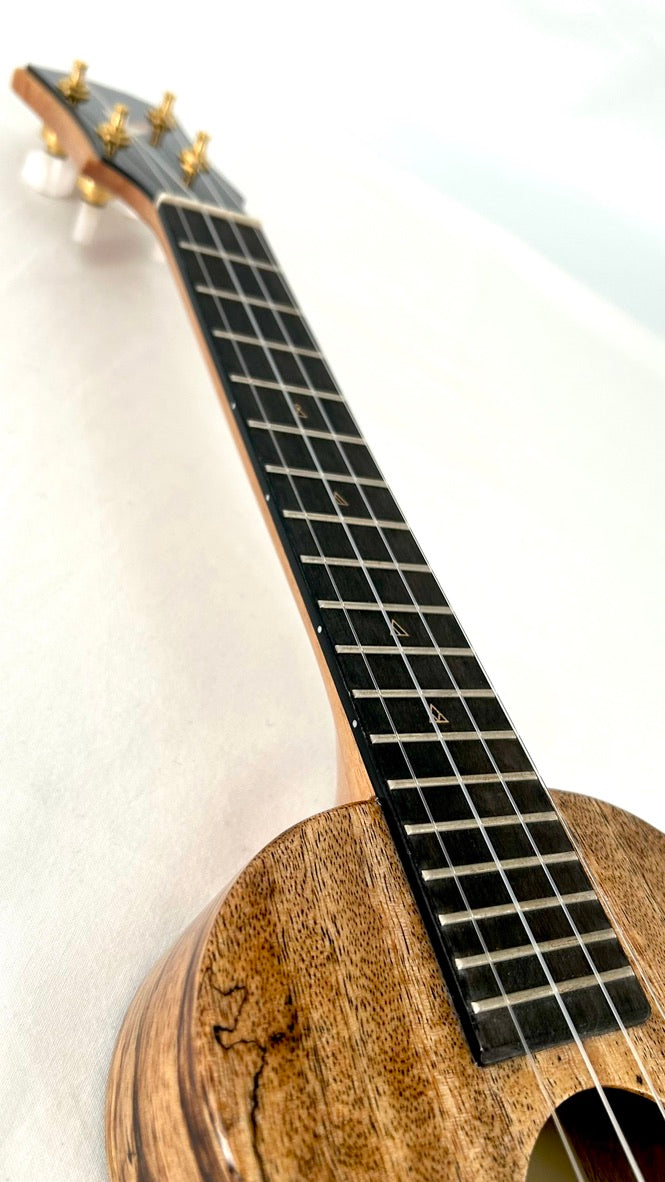 Rebel Creme brulee Concert gloss #31