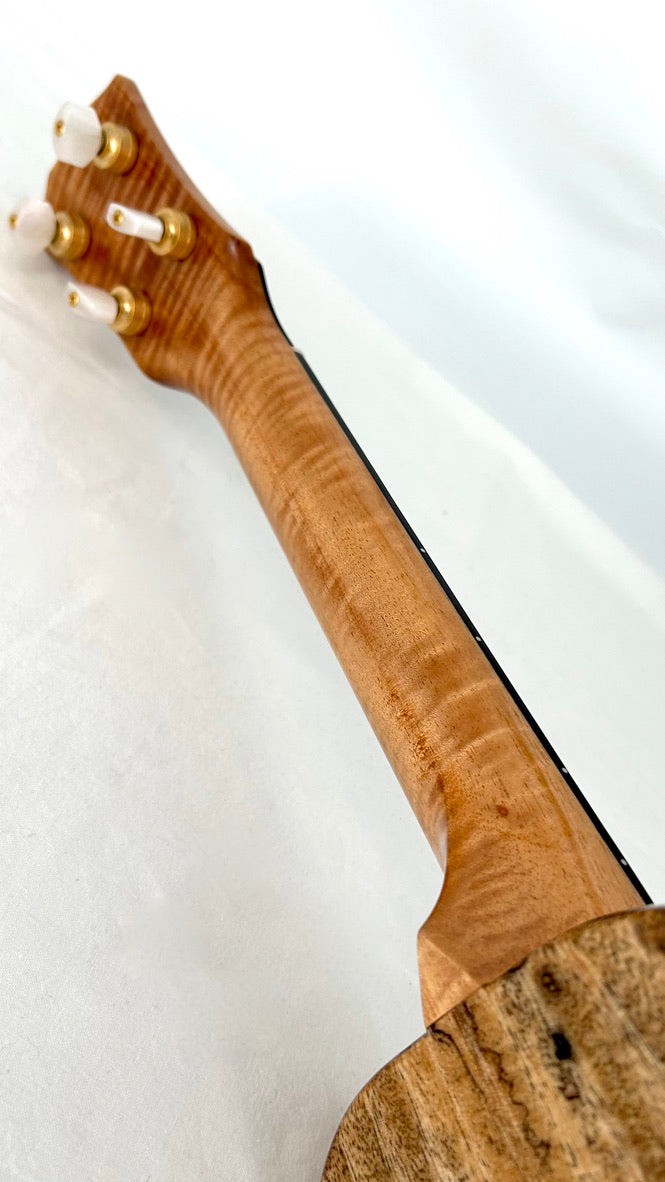 Rebel Creme brulee Concert gloss #31