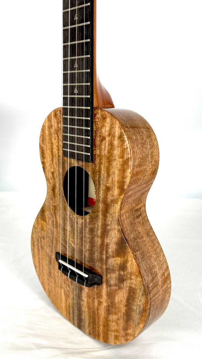 Rebel Creme brulee Concert gloss #34