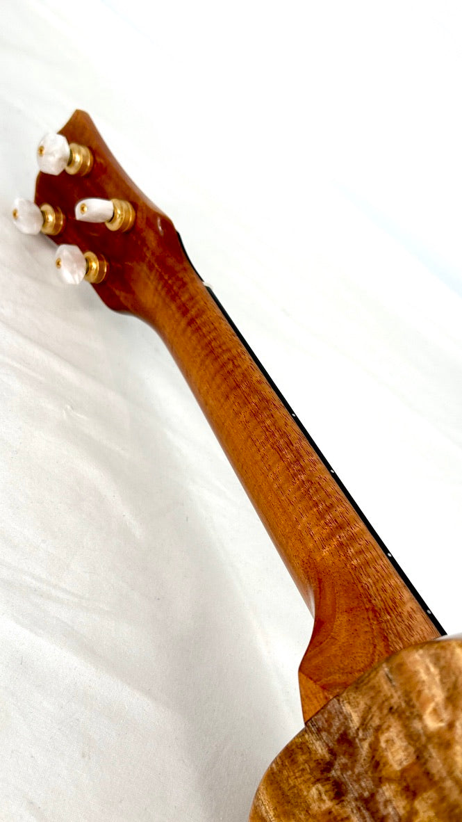 Rebel Creme brulee Concert gloss #34