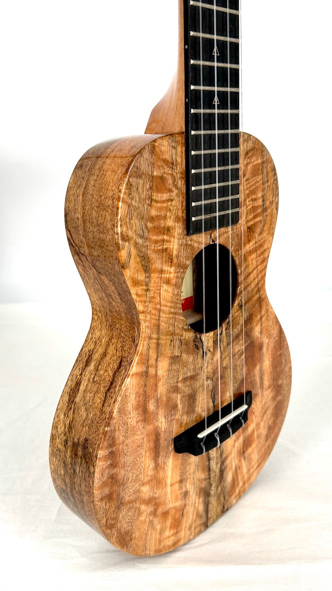 Rebel Creme brulee Concert gloss #36