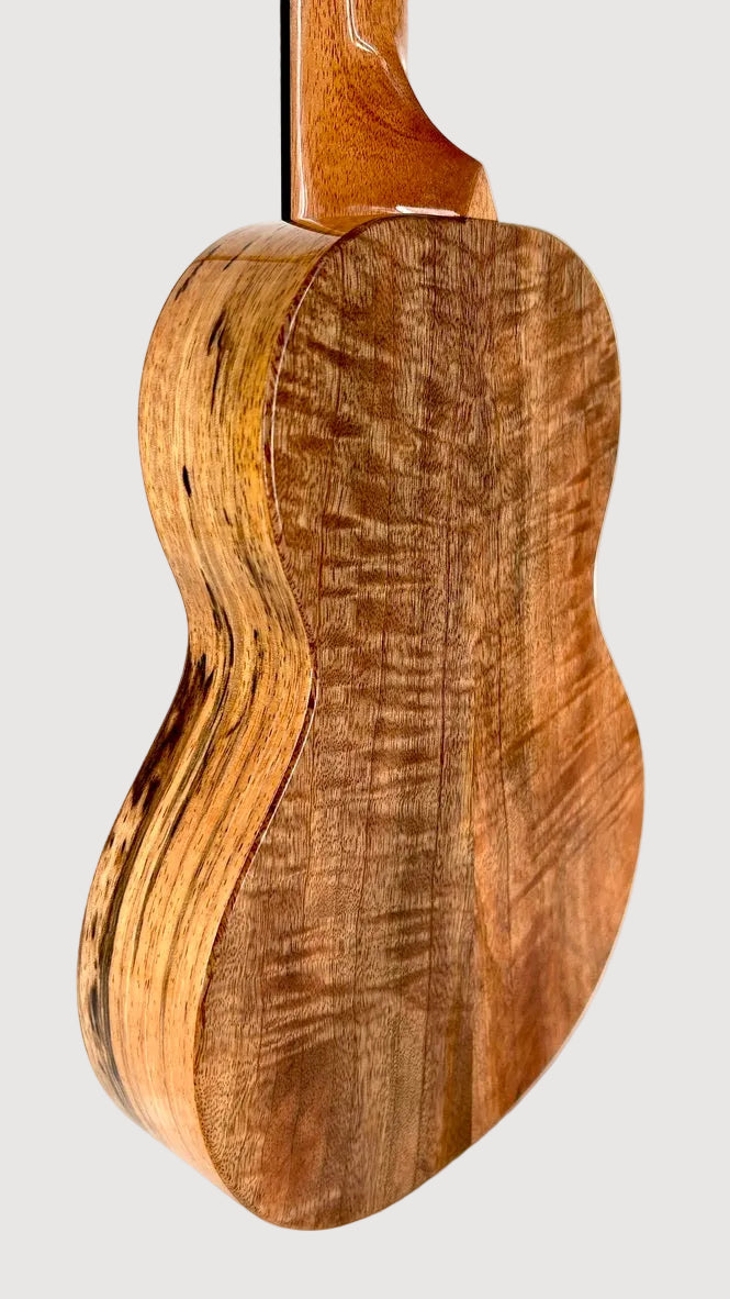 Rebel Creme brulee Tenor gloss #23