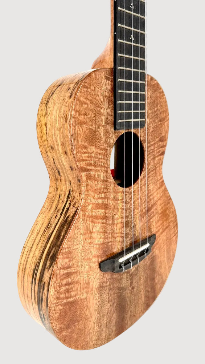 Rebel Creme brulee Tenor gloss #23