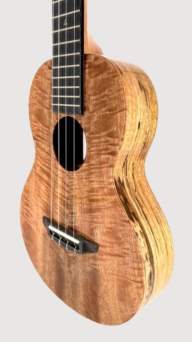 Rebel Creme brulee Tenor gloss #23