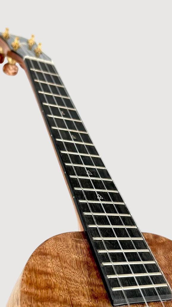 Rebel Creme brulee Tenor gloss #23