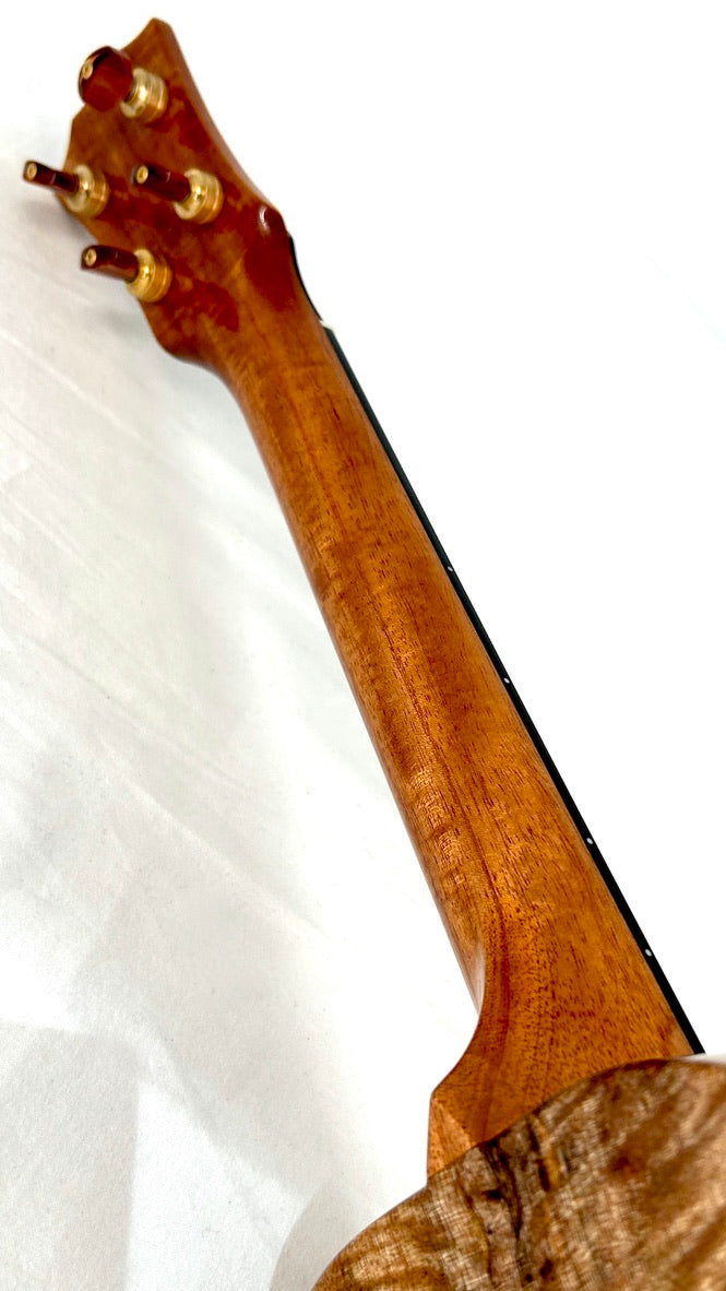 Rebel Creme brulee Tenor gloss #24