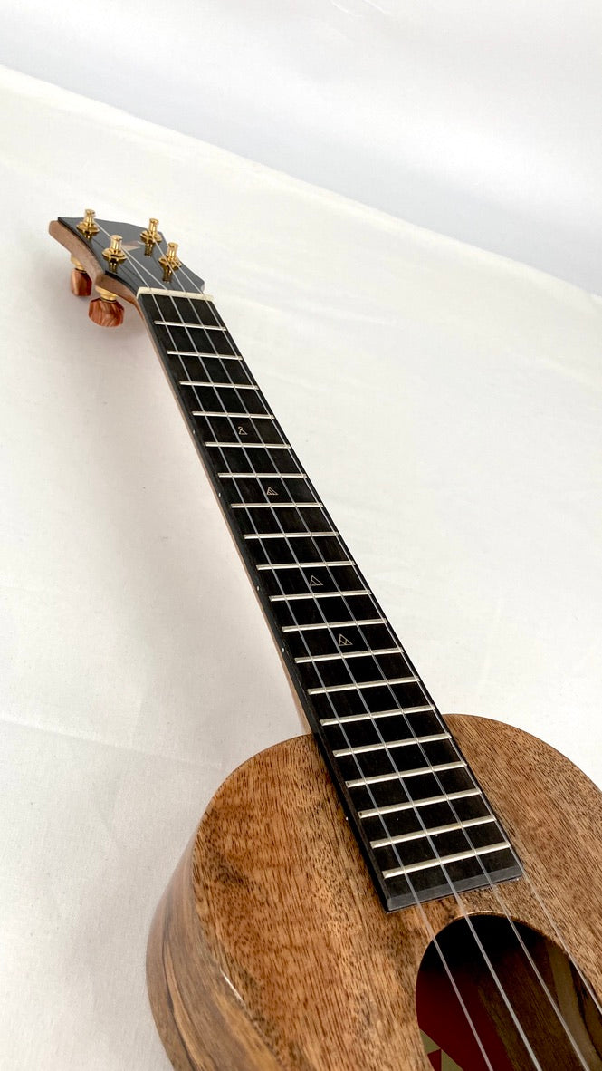 Rebel Double Creme Concert Longneck gloss #24