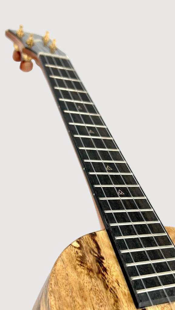 Rebel Double Creme Concert Longneck gloss #33