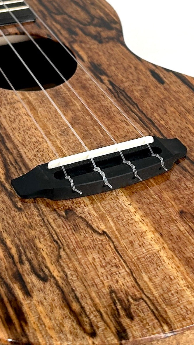 Rebel Double Creme Concert gloss #65