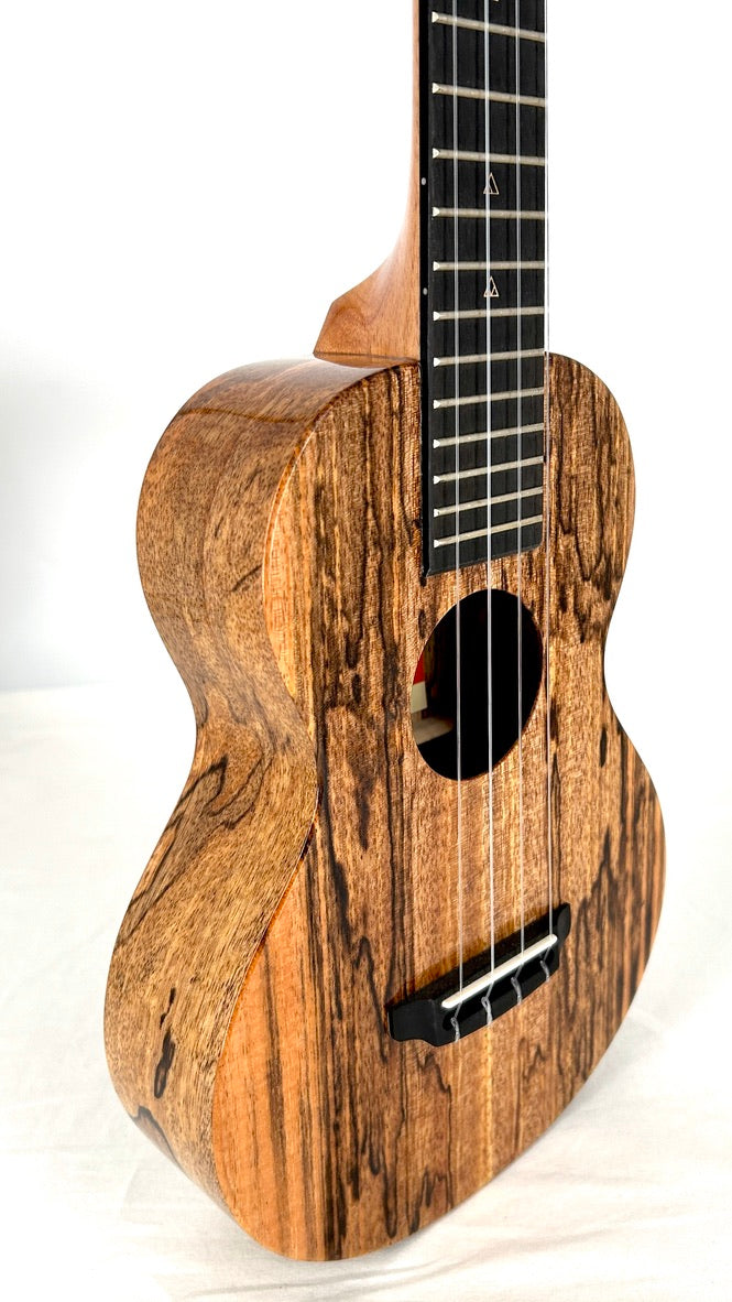 Rebel Double Creme Concert gloss #65