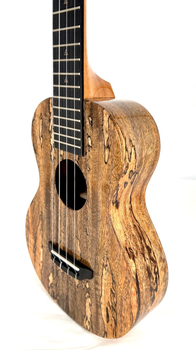 Rebel Double Creme Concert gloss #66