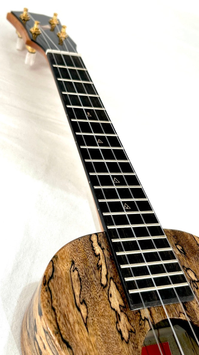 Rebel Double Creme Concert gloss #66